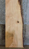 Thumbnail for Salvaged Live Edge Maple Headboard/Bar/Table Top Slab CLOSEOUT 20692