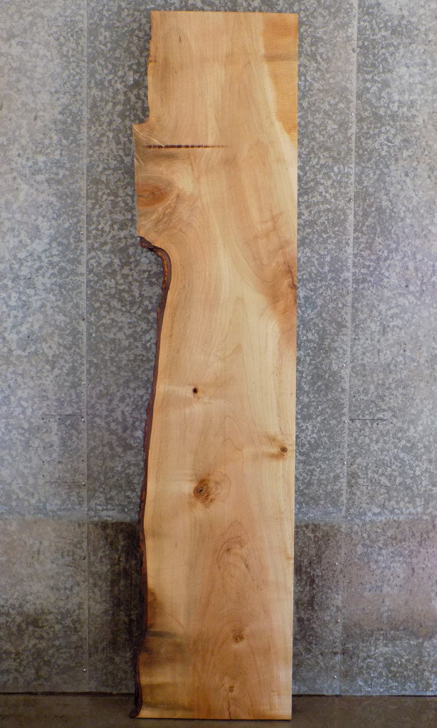 Salvaged Live Edge Maple Headboard/Bar/Table Top Slab CLOSEOUT 20692