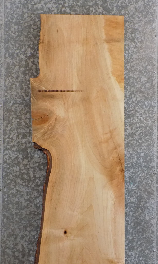 Salvaged Live Edge Maple Headboard/Bar/Table Top Slab CLOSEOUT 20692