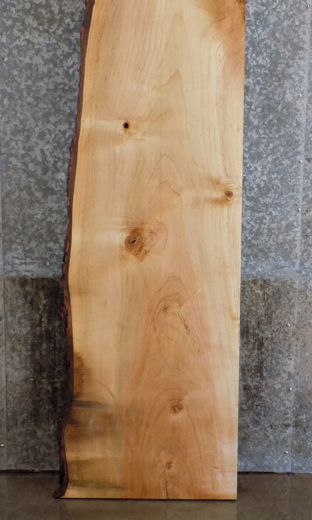 Salvaged Live Edge Maple Headboard/Bar/Table Top Slab CLOSEOUT 20692