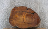 Thumbnail for Red Oak Live Edge Oval Coffee Table Slab 20700
