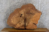 Thumbnail for Oval Cut Rustic Elm Coffee/Sofa Table Top Wood Slab CLOSEOUT 20701