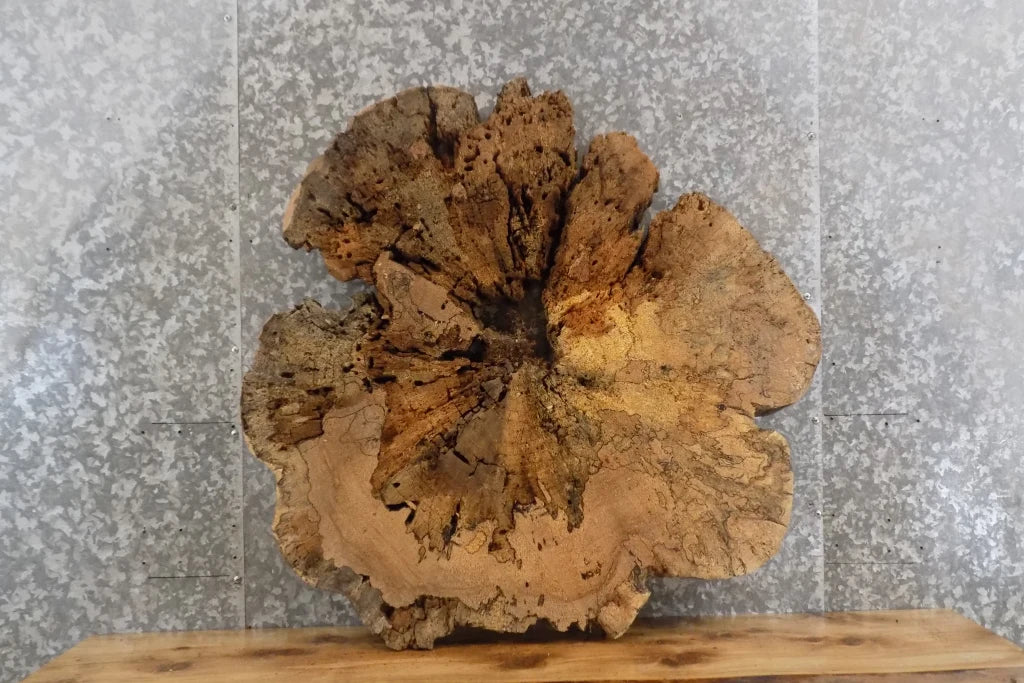 2- Live Edge Round Cut Maple Slab, Epoxy Project Table Top 20704