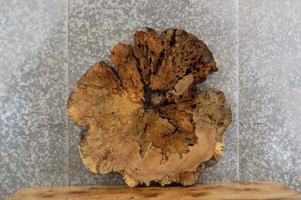 2- Live Edge Round Cut Maple Slab, Epoxy Project Table Top 20704