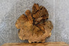 Thumbnail for 2- Live Edge Round Cut Maple Slab, Epoxy Project Table Top 20704