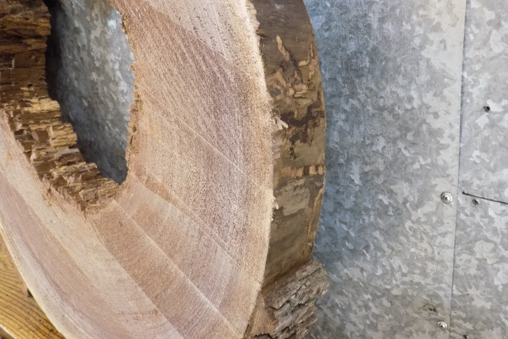 Black Walnut Live Edge Round/Thick Cut Epoxy Project Slab 20708