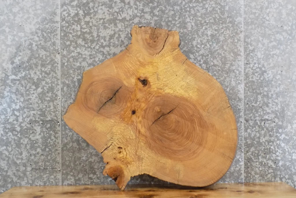 Live Edge Ash Table Top Slab, Wood Circle Cut End Table Top 20710
