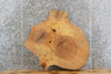 Thumbnail for Live Edge Ash Table Top Slab, Wood Circle Cut End Table Top 20710