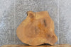 Thumbnail for Live Edge Ash Round Slab, End Table Top Wood Tree Slice 20711