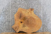 Thumbnail for Live Edge Ash Round Slab, End Table Top Wood Tree Slice 20711