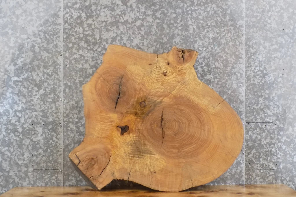 Live Edge Ash Round Slab, End Table Top Wood Tree Slice 20711