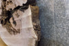 Thumbnail for Black Walnut Round Cut Live Edge Bark Coffee Table Top Slab 20717
