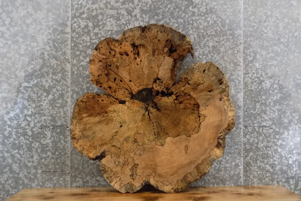 2- Live Edge Round Cut Table Slab, Epoxy Project Wood CLOSEOUT 20718