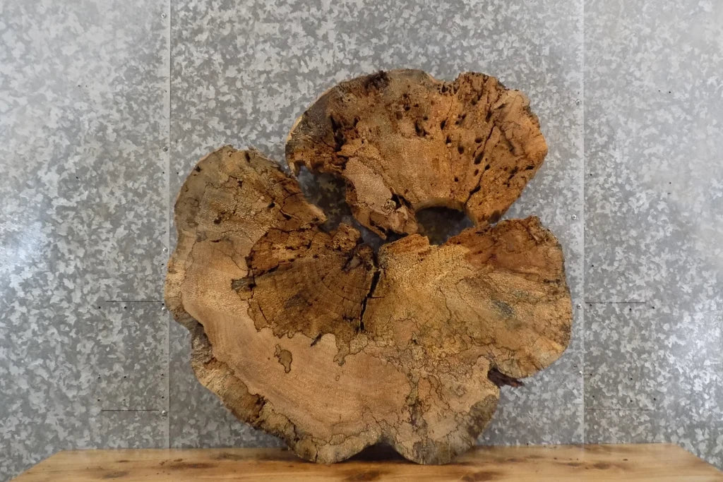 2- Live Edge Round Cut Table Slab, Epoxy Project Wood CLOSEOUT 20718