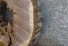 Thumbnail for Live Edge Round Cut Black Walnut Epoxy Project/Table Top Slab 20721
