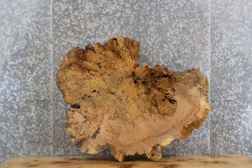 Live Edge Maple Round Cut Epoxy Project Slab CLOSEOUT 20722