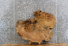 Thumbnail for Live Edge Maple Round Cut Epoxy Project Slab CLOSEOUT 20722