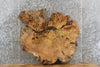 Thumbnail for 3- Live Edge Maple Round Cut Side Table, Epoxy Project Slab 20725