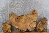 Thumbnail for 3- Live Edge Maple Round Cut Side Table, Epoxy Project Slab 20725