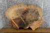 Thumbnail for Live Edge Oval Cut Elm Sofa/Side Table Top Wood Slab 20726