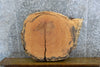 Thumbnail for Live Edge Locust Slab, Round Epoxy Project Table Top CLOSEOUT 20727