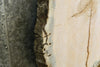 Thumbnail for Live Edge Locust Slab, Round Epoxy Project Table Top CLOSEOUT 20727
