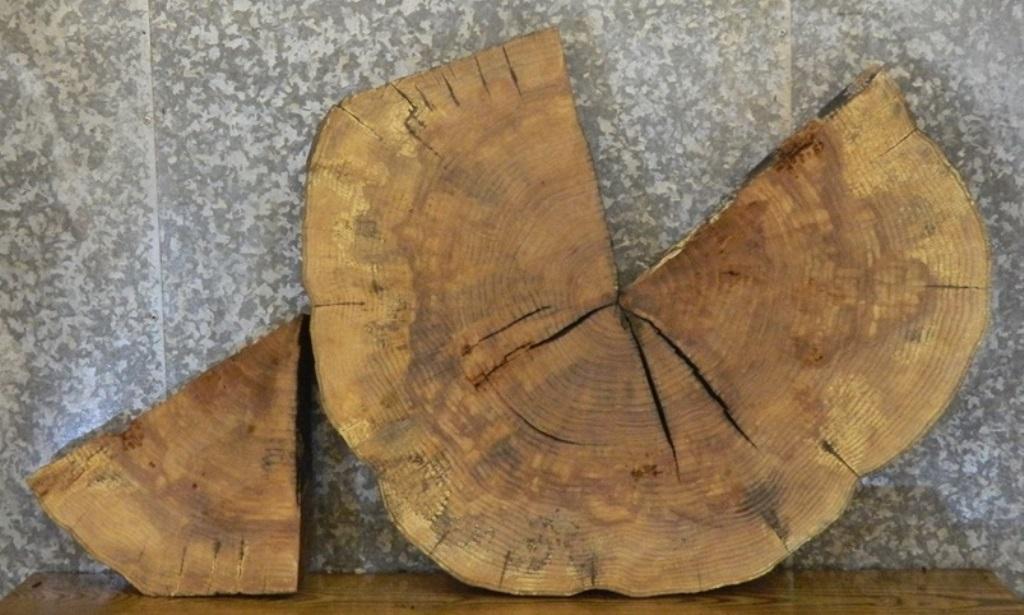2- Round Cut Ash Split Board/Coffee Table Top Slab CLOSEOUT 20728