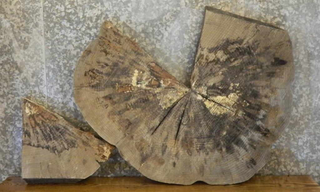 2- Round Cut Ash Split Board/Coffee Table Top Slab CLOSEOUT 20728