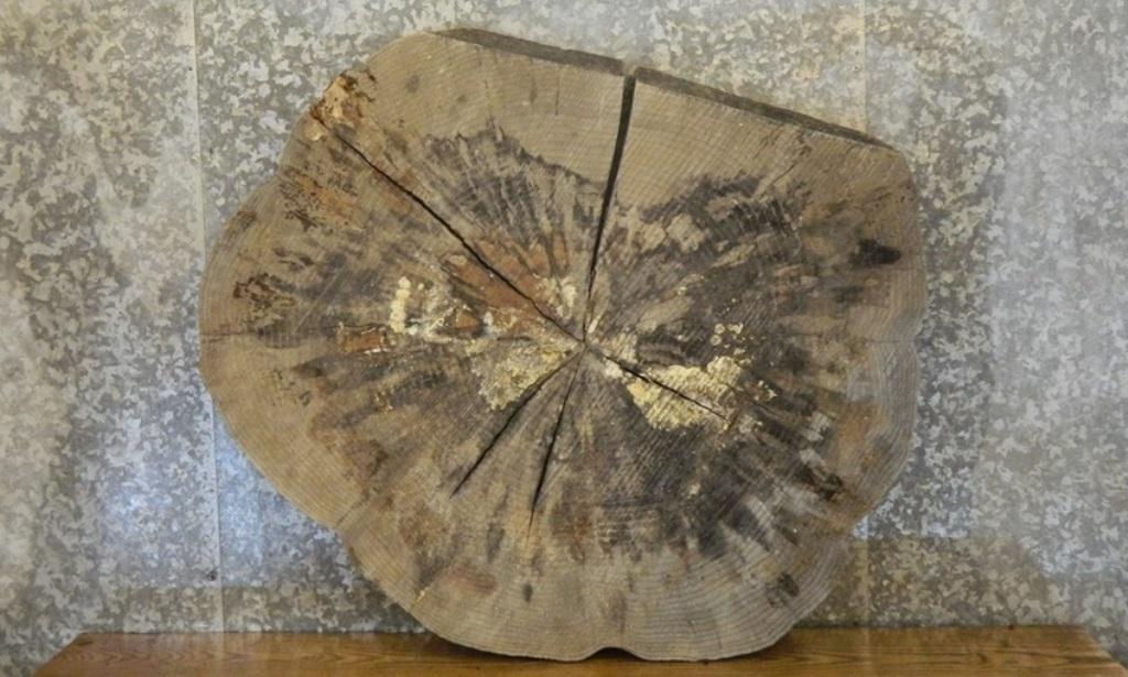 2- Round Cut Ash Split Board/Coffee Table Top Slab CLOSEOUT 20728