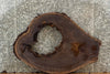 Thumbnail for Live Edge Black Walnut Oval Cut Wood Table Slab, Epoxy Project 20730