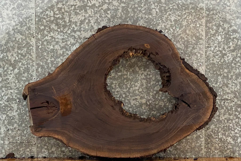 Live Edge Black Walnut Oval Cut Wood Table Slab, Epoxy Project 20730