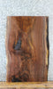 Thumbnail for Live Edge Black Walnut Sofa/Coffee Table Top Slab 20737
