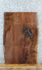 Thumbnail for Live Edge Black Walnut Sofa/Coffee Table Top Slab 20737
