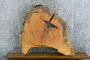 Thumbnail for Reclaimed Round Cut Locust Live Edge Coffee Table Top 20739