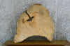 Thumbnail for Reclaimed Round Cut Locust Live Edge Coffee Table Top 20739