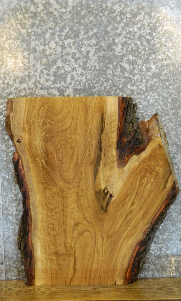 Live Edge Bark White Oak Coffee/Sofa Table Top Slab CLOSEOUT 20747