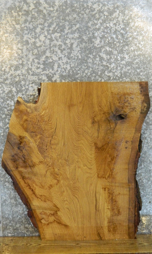Live Edge Bark White Oak Coffee/Sofa Table Top Slab 20747