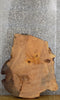 Thumbnail for Live Edge Ash Oval Cut Coffee Table Top Wood Slab CLOSEOUT 20760
