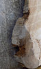 Thumbnail for Live Edge Ash Oval Cut Coffee Table Top Wood Slab CLOSEOUT 20760