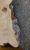 Thumbnail for Live Edge Ash Oval Cut Coffee Table Top Wood Slab CLOSEOUT 20760