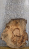 Thumbnail for Live Edge Ash Oval Cut Coffee Table Top Wood Slab CLOSEOUT 20760