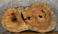 Thumbnail for Spalted Maple Live Edge Oval Cut Rustic Table Slab CLOSEOUT 20763