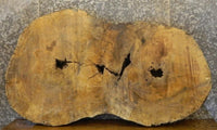 Thumbnail for Spalted Maple Live Edge Oval Cut Rustic Table Slab CLOSEOUT 20763