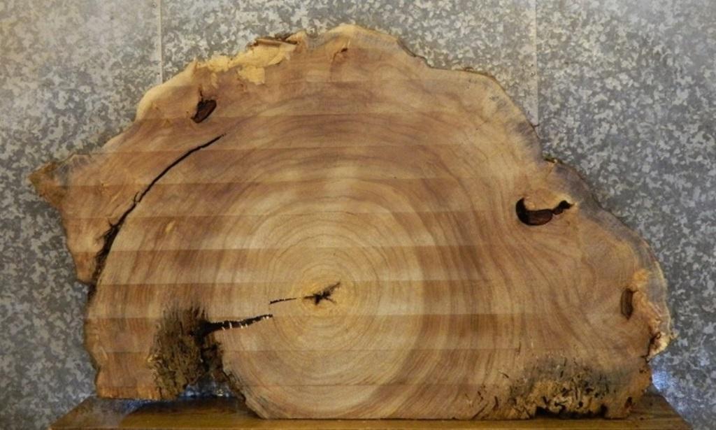 Partial Live Edge Cottonwood Oval Cut Table Slab CLOSEOUT 20764