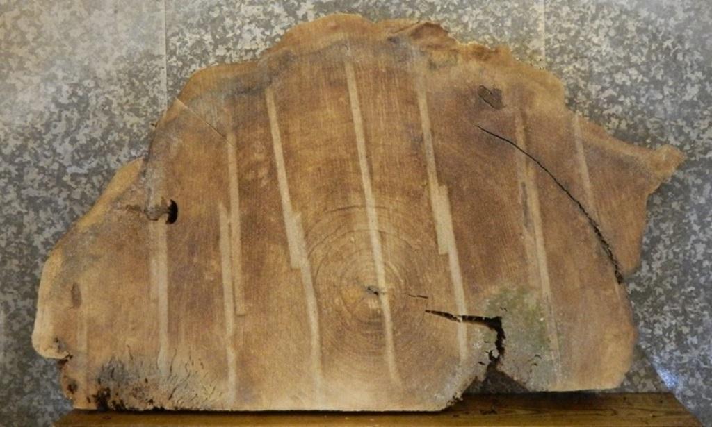 Partial Live Edge Cottonwood Oval Cut Table Slab CLOSEOUT 20764