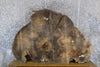 Thumbnail for Oval Cut Cottonwood Live Edge Coffee Table Top Slab CLOSEOUT 20765