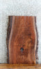 Thumbnail for Live Edge Black Walnut Sofa/Coffee Table Top 20769