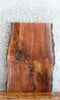 Thumbnail for Live Edge Black Walnut Sofa/Coffee Table Top 20769