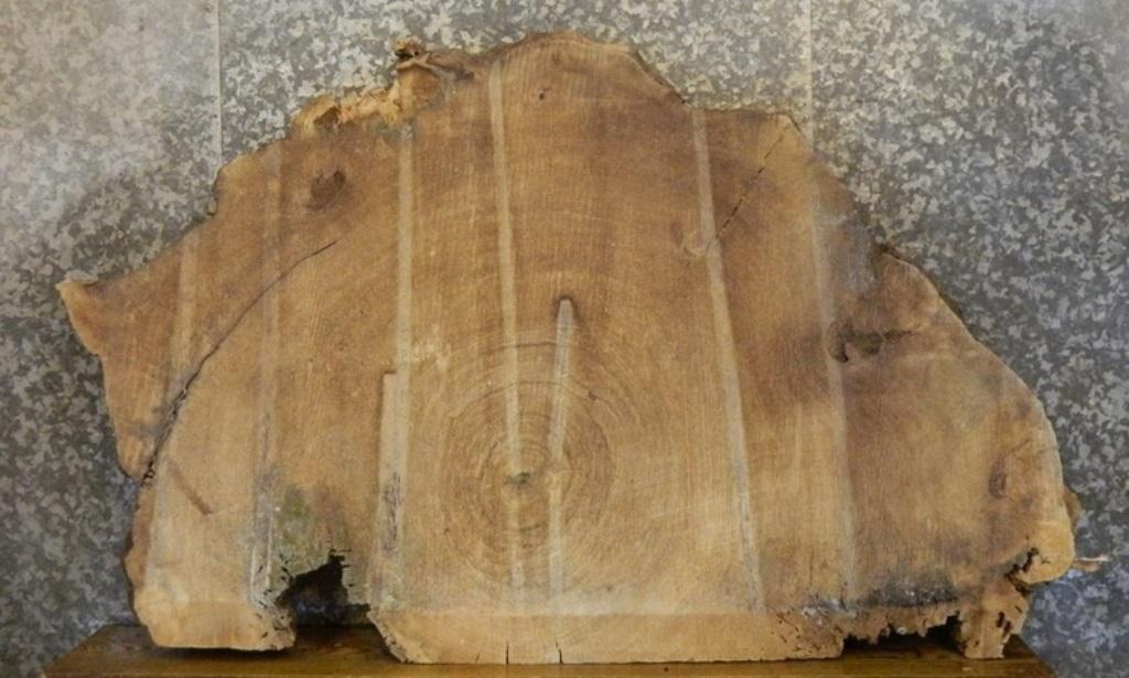 Partial Live Edge Cottonwood Oval Cut Table Slab CLOSEOUT 20770