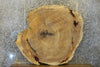 Thumbnail for Natural Edge Round Cut Cottonwood Coffee Table Top CLOSEOUT 20776